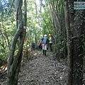 P1194850.jpg