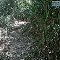 P1194852.jpg