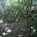 P1194853.jpg