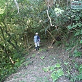 P1194872.jpg