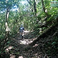 P1194870.jpg