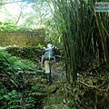 P1194877.jpg