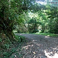 P1195265.jpg