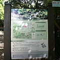 P1195264.jpg