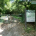 P1195263.jpg