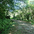 P1195270.jpg