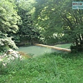 P1195276.jpg