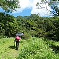 P1195275.jpg