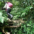 P1195285.jpg