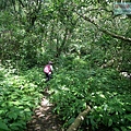 P1195287.jpg