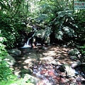 P1195289.jpg