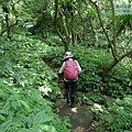 P1195301.jpg