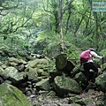 P1195311.jpg