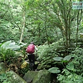 P1195310.jpg