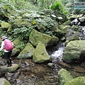 P1195312.jpg