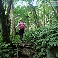 P1195309.jpg