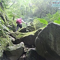 P1195314.jpg