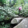 P1195317.jpg
