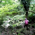 P1195337.jpg