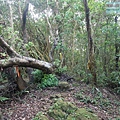 P1198617.jpg