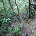 P1198620.jpg