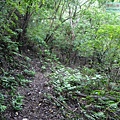 P1198621.jpg