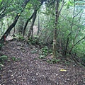 P1198622.jpg