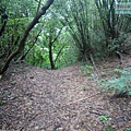 P1198624.jpg