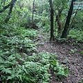 P1198625.jpg