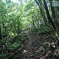 P1198626.jpg