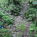 P1198630.jpg
