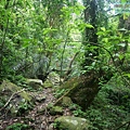 P1198631.jpg
