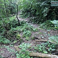 P1198632.jpg