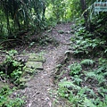 P1198633.jpg