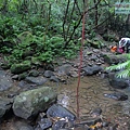P1198634.jpg