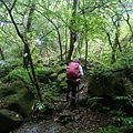 P1198635.jpg