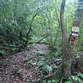 P1198637.jpg