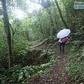P1198644.jpg