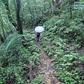 P1198645.jpg