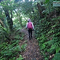 P1198648.jpg