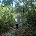 P1198646.jpg