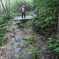 P1198650.jpg