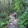 P1198649.jpg
