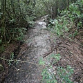 P1198652.jpg
