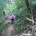 P1198653.jpg