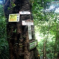 P1198655.jpg