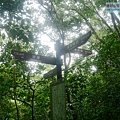 P1198657.jpg