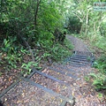 P1198658.jpg