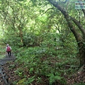 P1198659.jpg