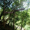 P1198662.jpg